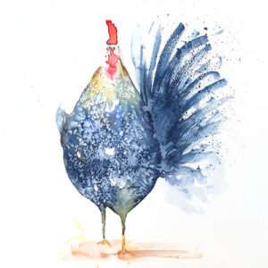 Kohut MAKUKI akvarel