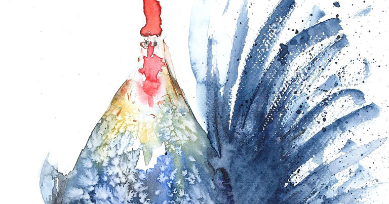 Kohut MAKUKI akvarel banner